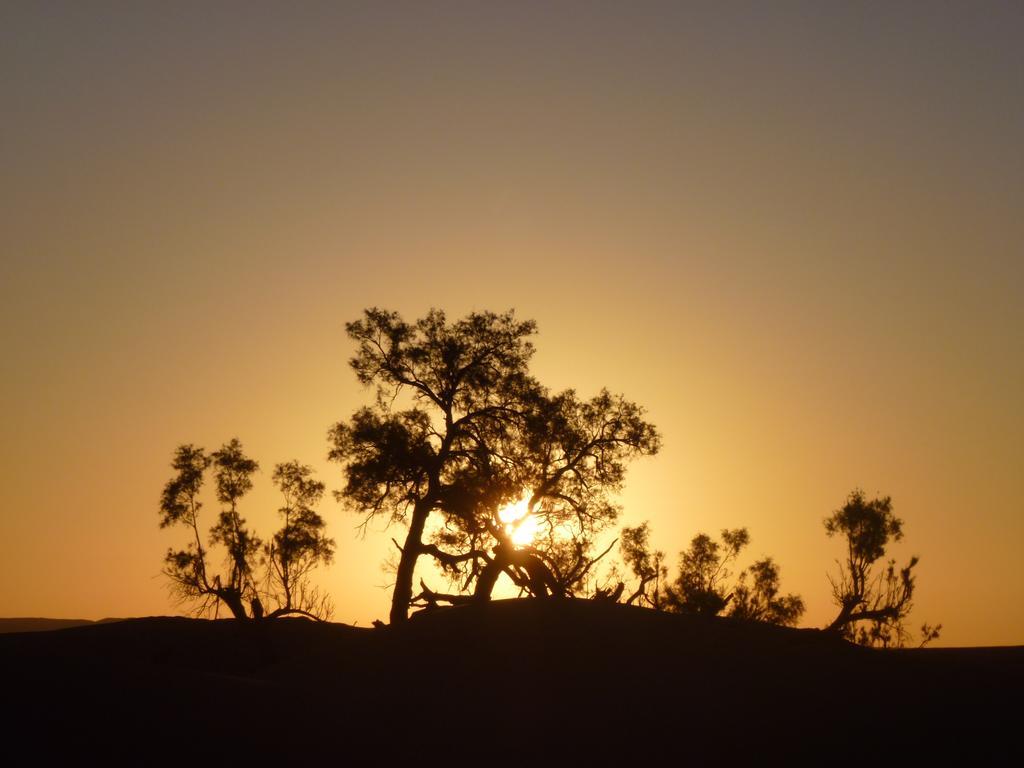 El Gouera Atta Desert Camp מראה חיצוני תמונה